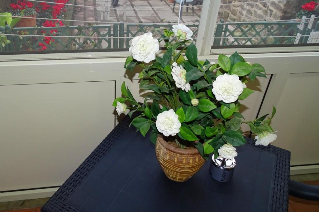 Nonna Peppa - Sorrento Bed and Breakfast Sant'Agnello Buitenkant foto